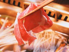 -九鼎轩脆毛肚火锅(三钢里店)