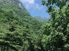 -陕西省红河谷森林公园