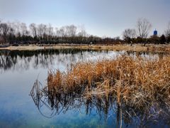 -永定河休闲森林公园