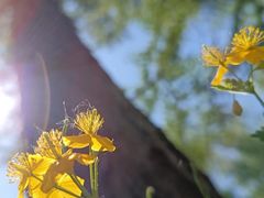 -长春市南湖公园