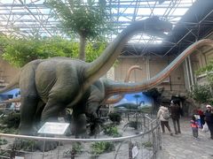 -国家自然博物馆