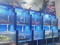 -金龙·打边炉(武进路店)