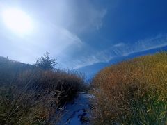-终南山国家森林公园