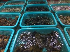-渔傅·蓝海岸霞浦海鲜(正祥店)