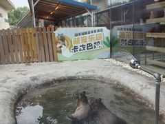 -廊坊固安福朋喜来登酒店