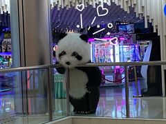 -元气寿司(金光华店)