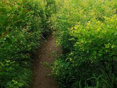 -阳台山自然风景区