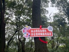 -广州市帽峰山景区