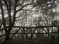 -梧桐山风景名胜区