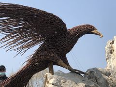 -北京西山国家森林公园