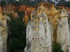 -彩色沙林风景区
