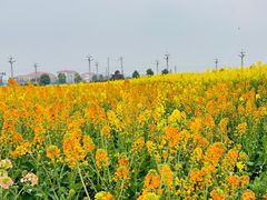 -中国天府农业博览园