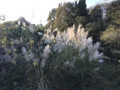 -贵阳市花溪国家城市湿地公园