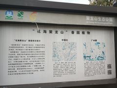 -聚龙山公园