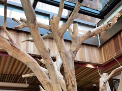 -渔太泰漓江小馆·广西融合菜(西街店)