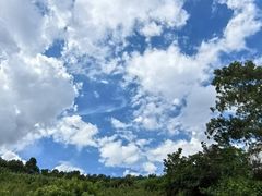 -阳宗海湿地