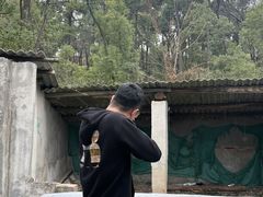 -东湖小天池真人CS彩弹野战基地