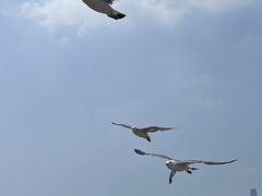 -星海广场