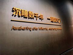 -三星堆博物馆