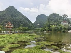-靖西鹅泉风景区