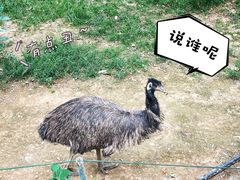 -石家庄市动物园