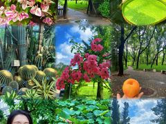 -国家植物园南园