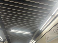 -陆家浜路(地铁站)
