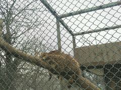 -西安秦岭野生动物园