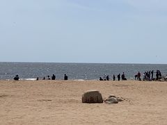 -老虎石海上公园