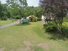 -春花秋色城市公园