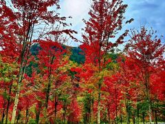 -九鼎铁刹山风景区