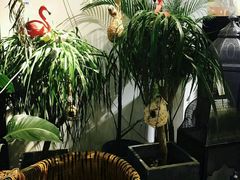 -RGF(巨鹿路店)