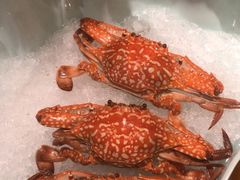 -广州万富希尔顿酒店-感趣自助餐厅·生蚝海鲜刺身