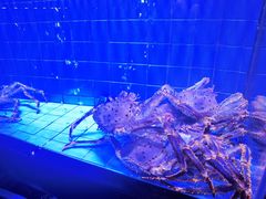 -荣记火锅(青悦城店)