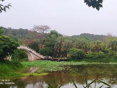 -田野绿世界