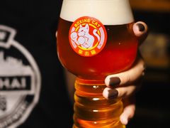 -Boxing Cat Brewery拳击猫精酿啤酒馆(永福店)