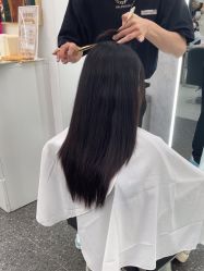 -YESIDO椰岛造型