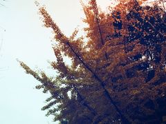 -长江路历史文化街区