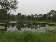 -东郊湿地公园