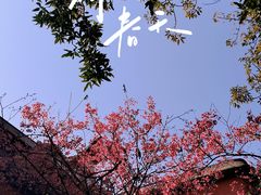-乌山风景区