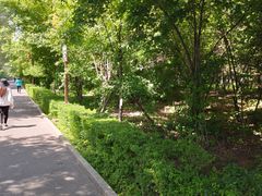 -长春市南湖公园