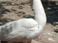 -哈尔滨北方森林动物园