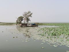 -微山湖红荷湿地景区