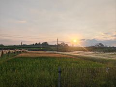 -光明小镇欢乐田园