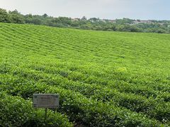 -敬亭山风景名胜区