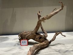 -广东中医药博物馆