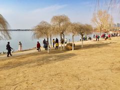 -丁香湖公园