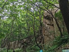 -大岭沟猕猴桃谷风景区