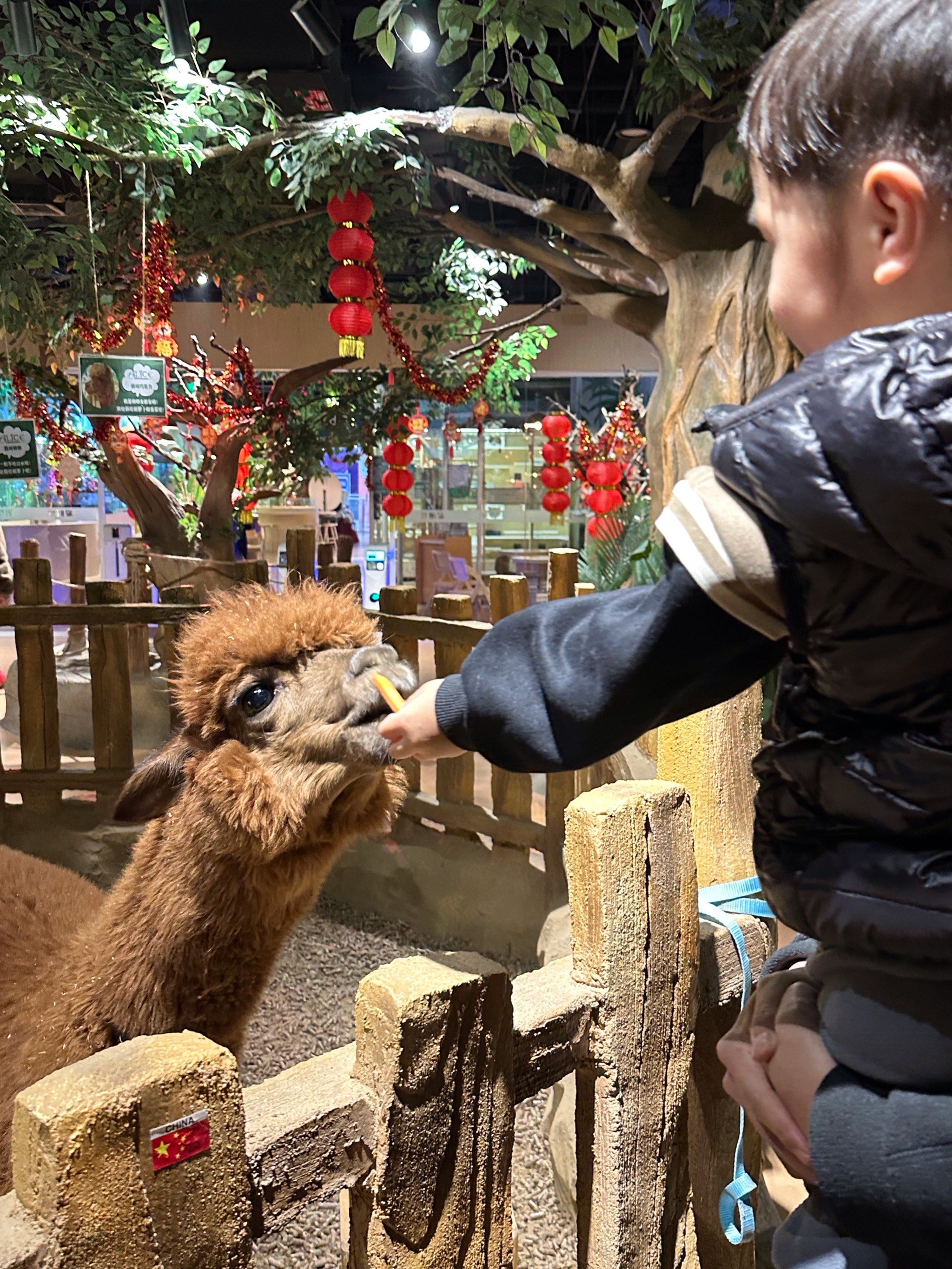 过年放假亲子娱乐来这里!万达二楼萌宠乐园!