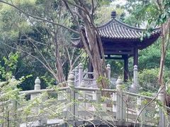 -深圳国际园林花卉博览园